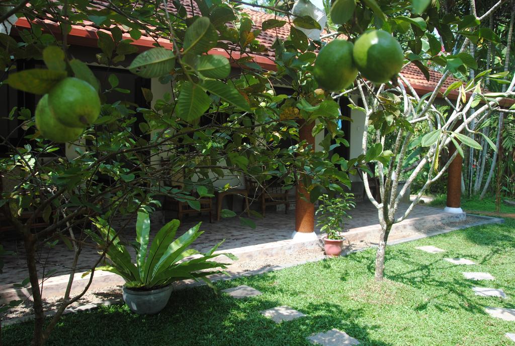Hotel Aknara Rest Weligama Exterior foto