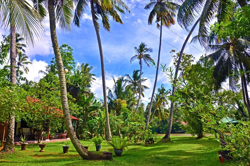 Hotel Aknara Rest Weligama Exterior foto