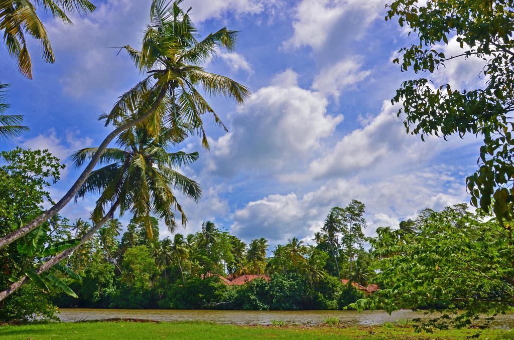 Hotel Aknara Rest Weligama Exterior foto